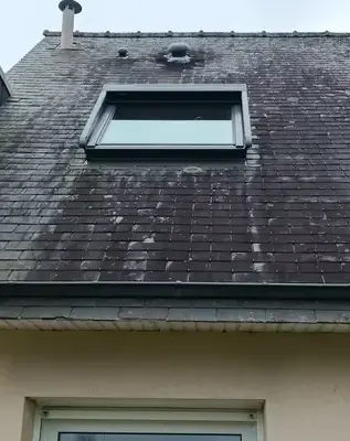 entretien de toiture Laillé-5