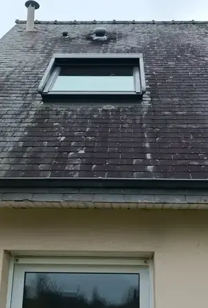 entretien de toiture Piré-sur-Seiche-2
