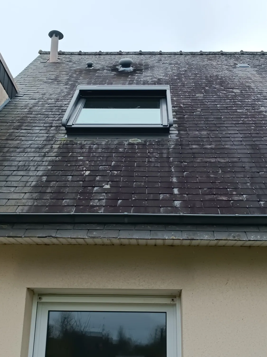 after-image